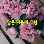 [좋은글] [좋은글] 말은 마음의 <b>그림</b>