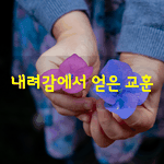 [좋은글] [좋은글] 내려감에서 얻은 교훈