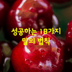 [좋은글] [좋은글] 성공하는 18가지 말의 법칙