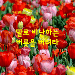 [좋은글] [좋은글] 인간은 강물처럼 흐르는 <b>존재</b>이다