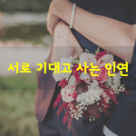 [좋은글] [좋은글] 서로 기대고 사는 인연