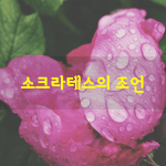 [좋은글] [좋은글] 소크라테스의 조언