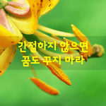 [좋은글] [좋은글] <b>간절</b>하지 않으면 꿈도 꾸지 마라.