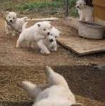 [드루와] 원래 남자들 짝<b>녀랑</b> 안될거 같으면