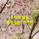 [좋은글] [좋은글] 우리의 삶을 결정짓는 열가지