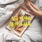 [좋은글] [좋은글] 행복하기 위해 너무 애쓰지 마세요.