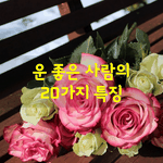 [좋은글] [좋은글] 운 좋은 사람의 20가지 특징