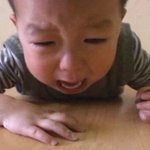 [추반부탁해] 점심 <b>메뉴</b> 골라줘 개진지하게