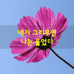 [좋은글] [좋은글] 네가 그리우면 나는 울었다