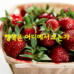 [좋은글] [좋은글] 누군가 찾아오고 누군가 떠나간다.