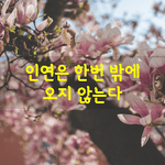 [좋은글] [좋은글] 인연을 소중히 여기지 못했던 탓으로