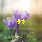 [좋은글] [좋은글] 인생길에