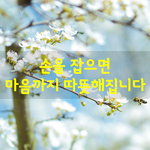 [좋은글] [좋은글] 손을 잡으면 마음까지 따뜻해집니다