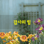 [좋은글] [좋은글] “척. 잘 들어두렴.