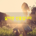 [좋은글] [좋은글] 삶이란 선물입니다