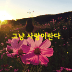 [좋은글] [좋은글] 얘야,