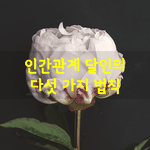 [좋은글] [좋은글] 인간관계 <b>달인</b>의 다섯 가지 법칙