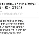 [19] 이제 한국에서 중국 욕하면 <b>처벌</b>받음