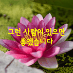 [좋은글] [좋은글] 소리내어 울고 싶은데