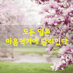 폭포의 장관에 감탄사를 연발하며 <b>구경</b>하다가  목이 말라 폭포의 물