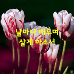 [좋은글] [좋은글] 날마다 배우며 살게 하소서