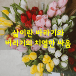 [좋은글] [좋은글]  삶이란 바라기와 버리기의 치열한 <b>싸움</b>