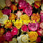 [좋은글] [좋은글] 긍정적으로 바라보기