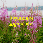 [좋은글] [좋은글] <b>시련</b>으로부터 도망치지 마라.