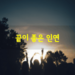 [좋은글] [좋은글] 우리는 하루에도