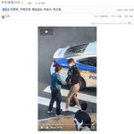 펨코에서 여고생 <b>무지성</b> 비난하네