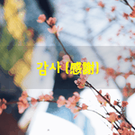 [좋은글] [좋은글] 감사感謝