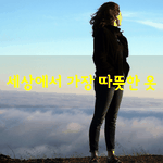 [좋은글] [좋은글] 세상에서 가장 따뜻한