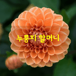 [좋은글] [좋은글] 누룽지 <b>할머니</b>