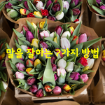 [좋은글] [좋은글] 말을 잘하는 7가지 방법