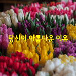 [좋은글] [좋은글] 당신이 아름다운 이유