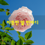 [좋은글] [좋은글] 살다보면