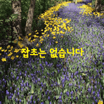 [좋은글] [좋은글] 잡초는 없습니다