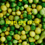 [좋은글] [좋은글] 위대한 <b>선택</b> 17가지