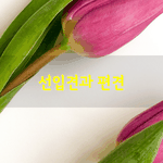 [좋은글] [좋은글] 선입견과 <b>편견</b>