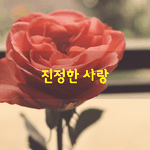 [좋은글] [좋은글] 진정한 사랑어느 병원장의 <b>일기</b>
