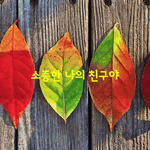 [좋은글] [좋은글] 소중한 나의 <b>친구</b>야