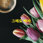 [좋은글] [좋은글] 그래도 <b>해라</b>.