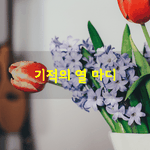 [좋은글] [좋은글] 기적의 열 마디