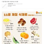 11월 제철식<b>재료</b> (과일/채소/수산물)