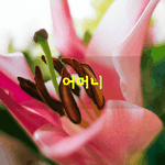 [좋은글] [좋은글] 어머니