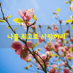 [좋은글] [좋은글] 나를 최고로 사랑하라