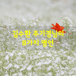 [좋은글] [좋은글] 김수환 추기경님의 8가지 명언