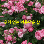 [좋은글] [좋은글] <b>후회</b> 없는 아름다운 삶