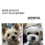 붕어빵 삼천원<b>어치</b> 얼마에요?