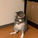 [모두드루와] <b>판</b>에 뉴진스 <b>민희진</b> 아직 응원하는 사람 있지?